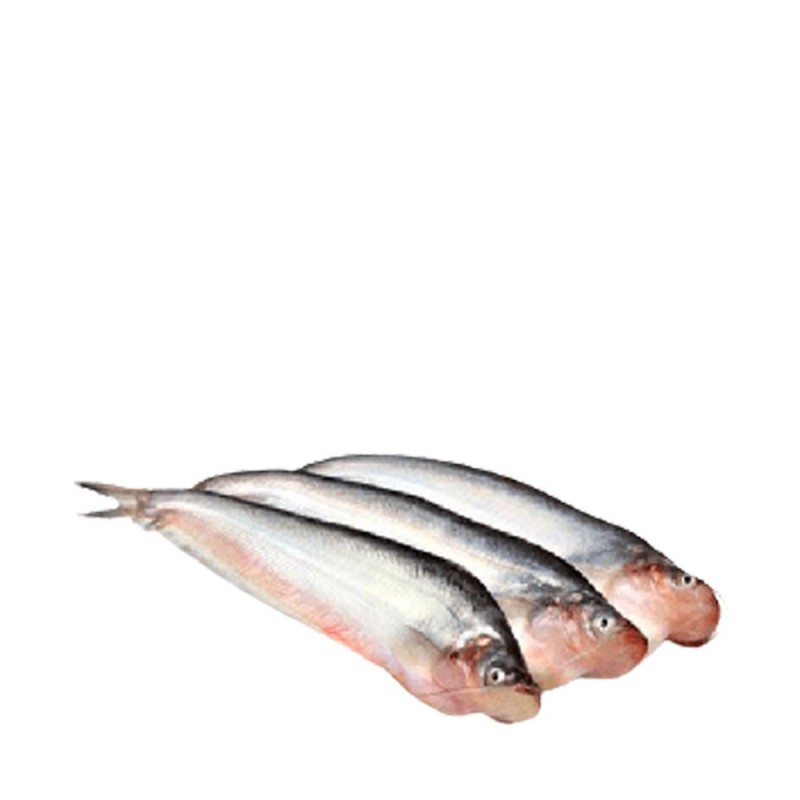 PABDA FISH OFFER 1 KG