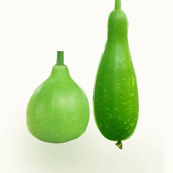 BOTTLE GOURD (Lau) 1PCS