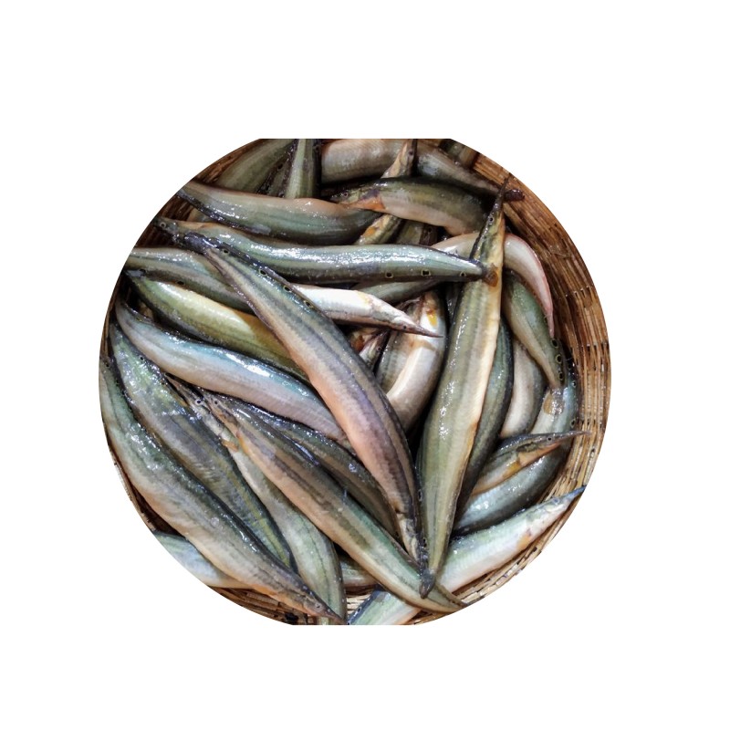 BAIM (বাইম) FISH SMALL 500GM