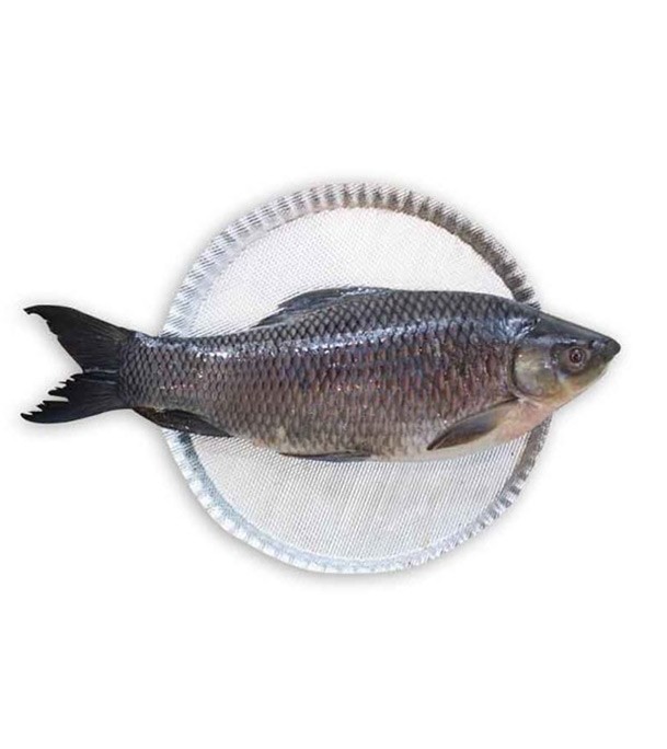 KALI BAUSH DESHI FISH (M) 1 KG