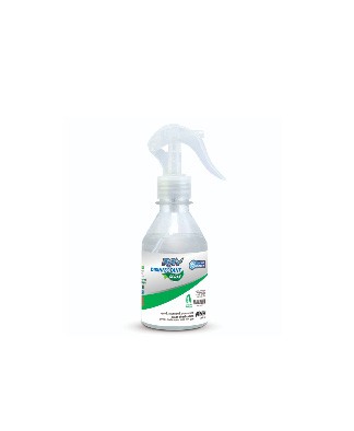 RAY DISHWASHING SPRAY 200ML