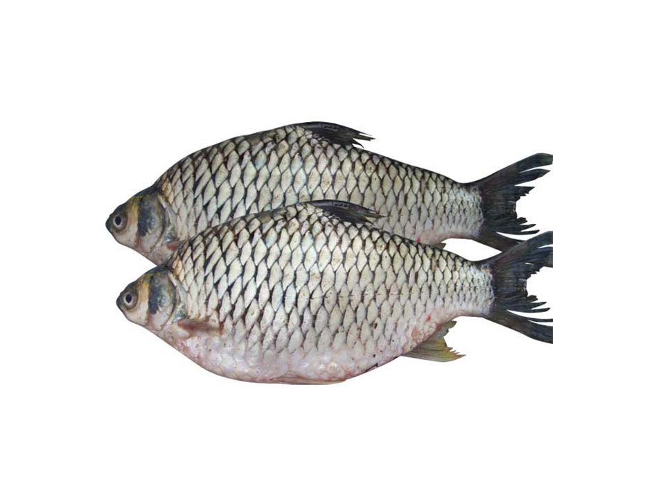 SHOR PUTI FISH (NODI) 1KG