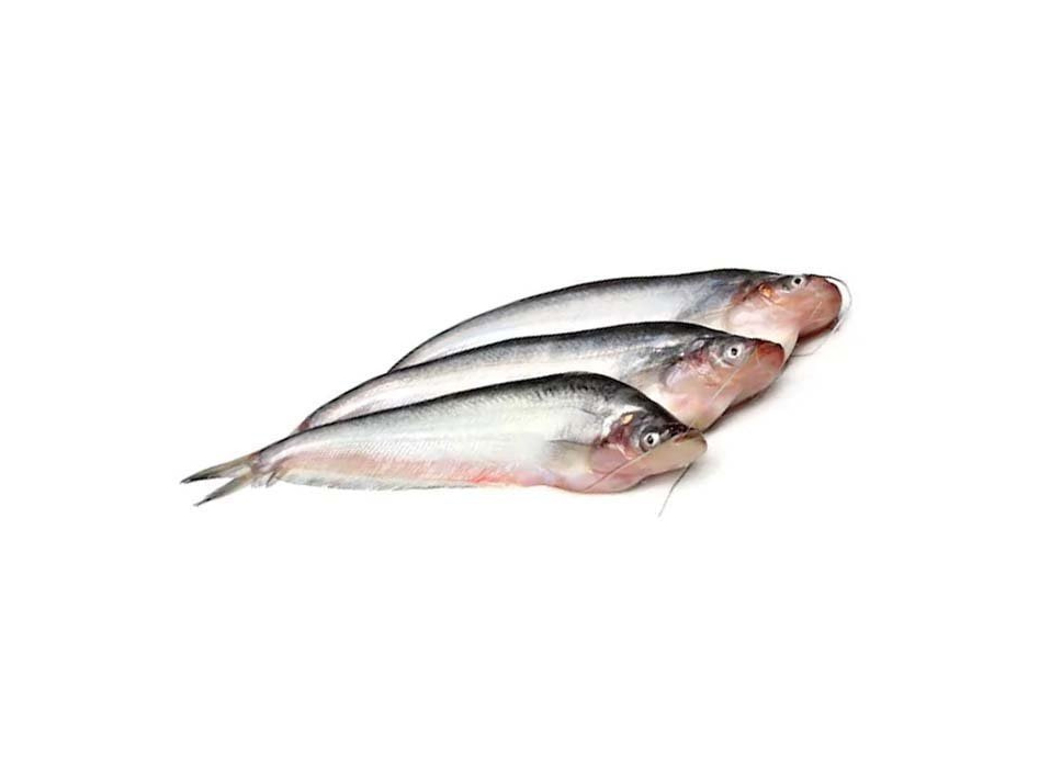 PABDA FISH 1KG (NODI)