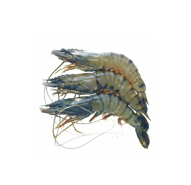 BAGDA CHINGRI 1KG (M)