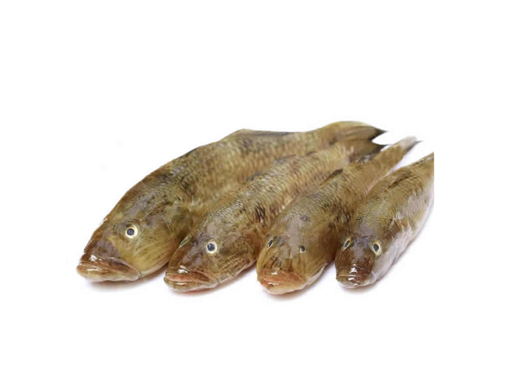 BAILA FISH MEDIUM 1KG