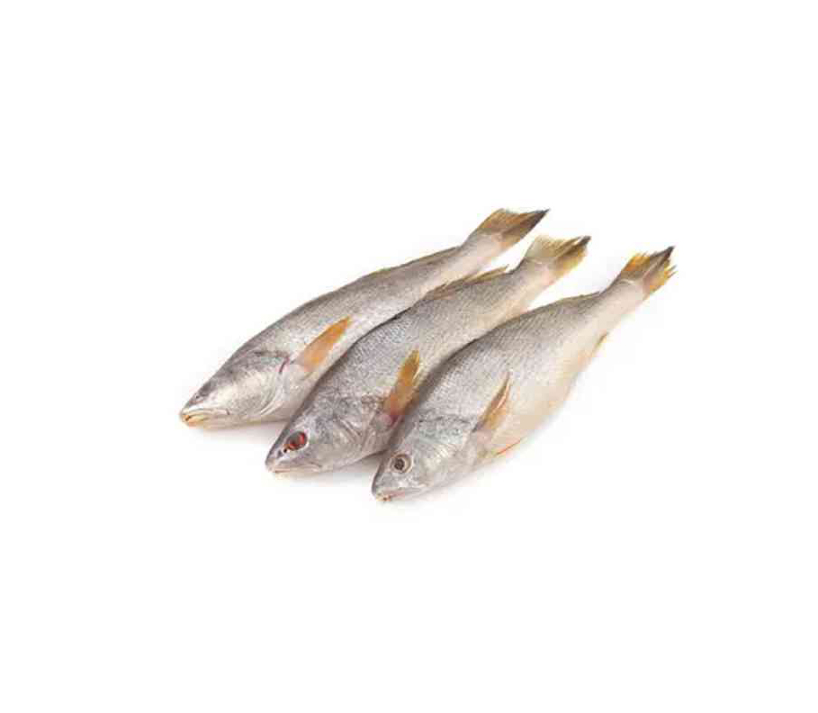 POWA FISH NODI 1KG (BIG)