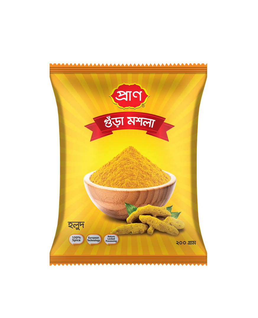 PRAN TURMERIC POWDER MASALA 100GM