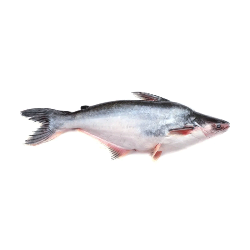 PANGASH FISH 1KG (OFFER)