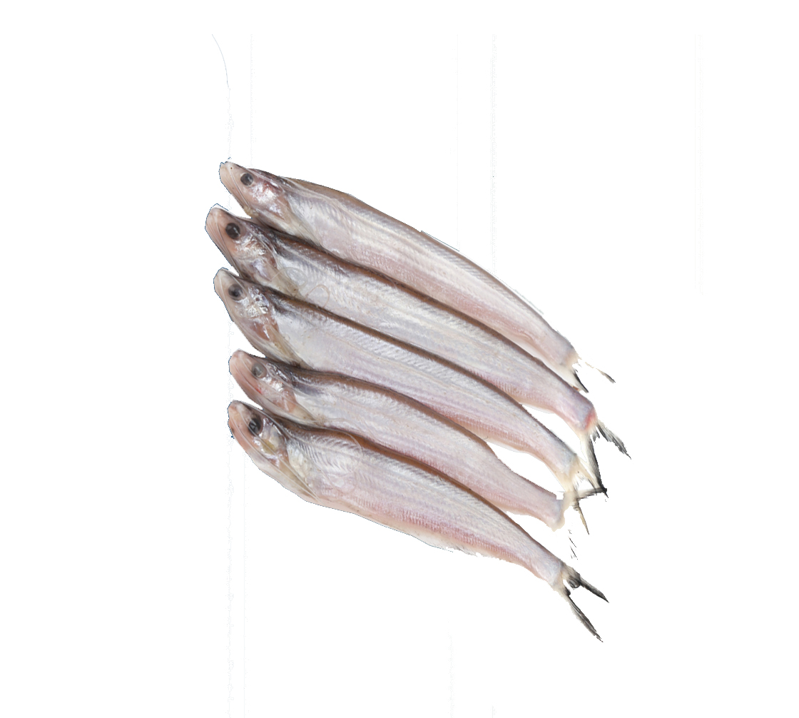 KAJLI FISH (DESHI) 1KG