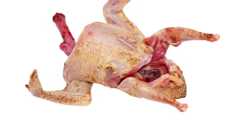 DESHI DUCK ( PREMIUM MEAT)